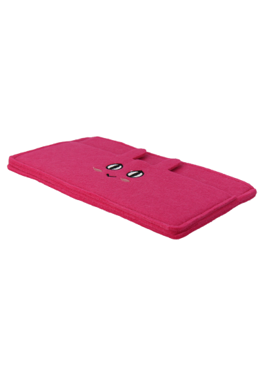 AST VP21P C1