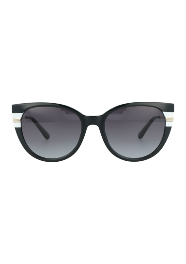 CY2401S C1