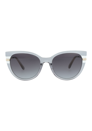 CY2401S C2
