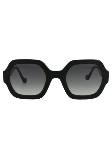 SJ2218S C1