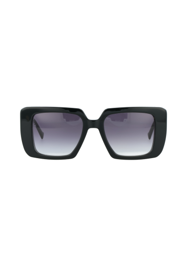 HV2401S C1