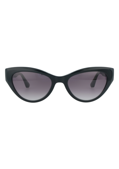 SE2501S C1