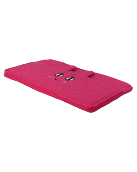 AST VP21P C1